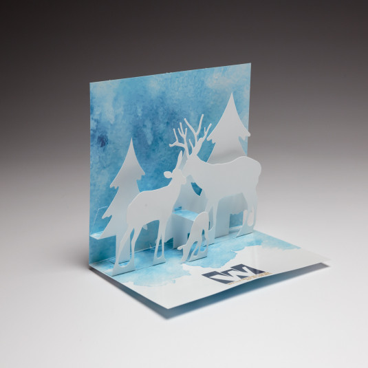 Examples of some of the most unique holiday cards you can send, make sure yours stands out from the crowd