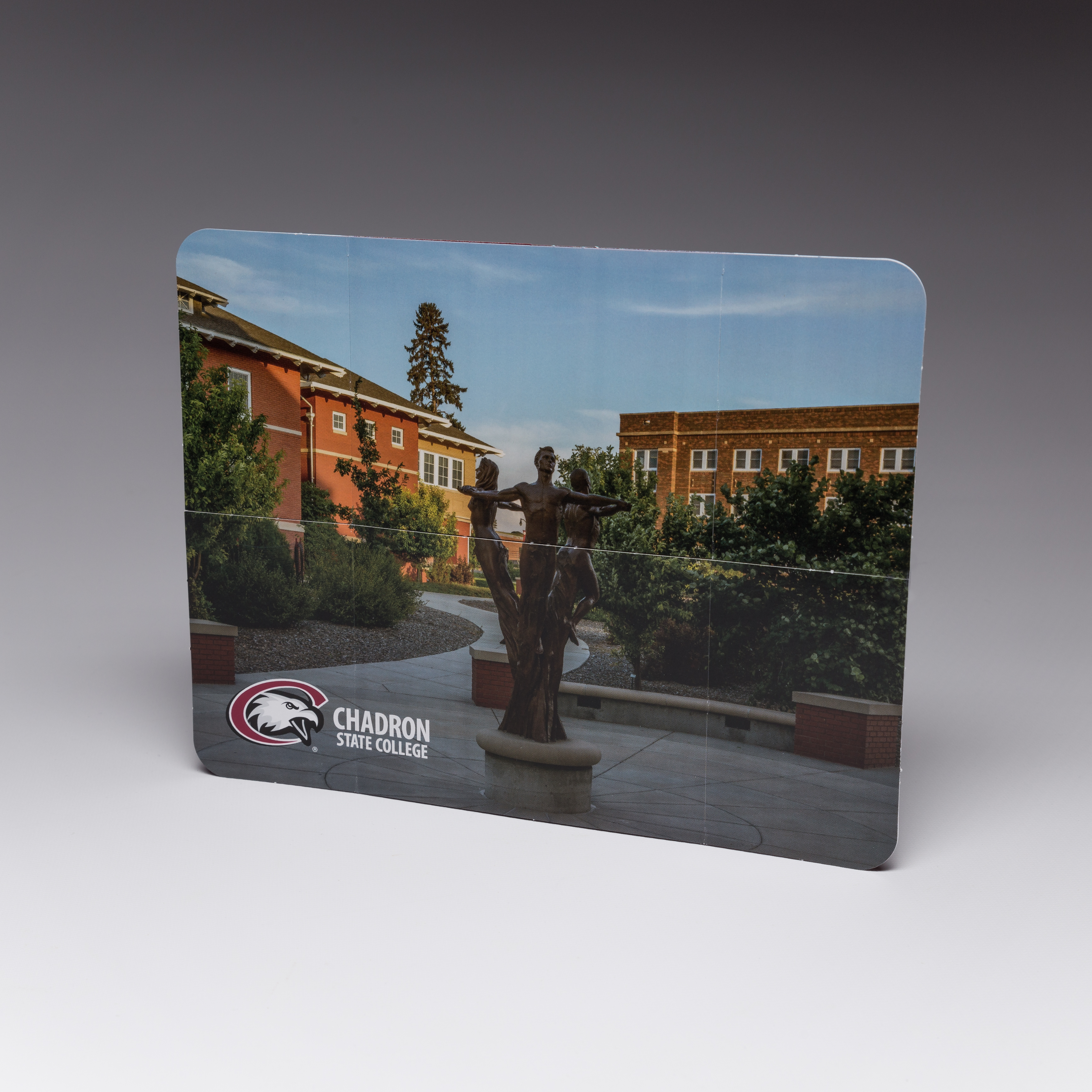 Capture your schools top prospects with our Flapper. Sure to be the most engaging college mailer your students get
